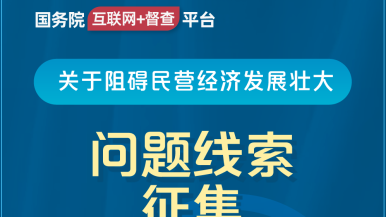 操操插插国务院“互联网+督查”平台公开征集阻碍民营经济发展壮大问题线索